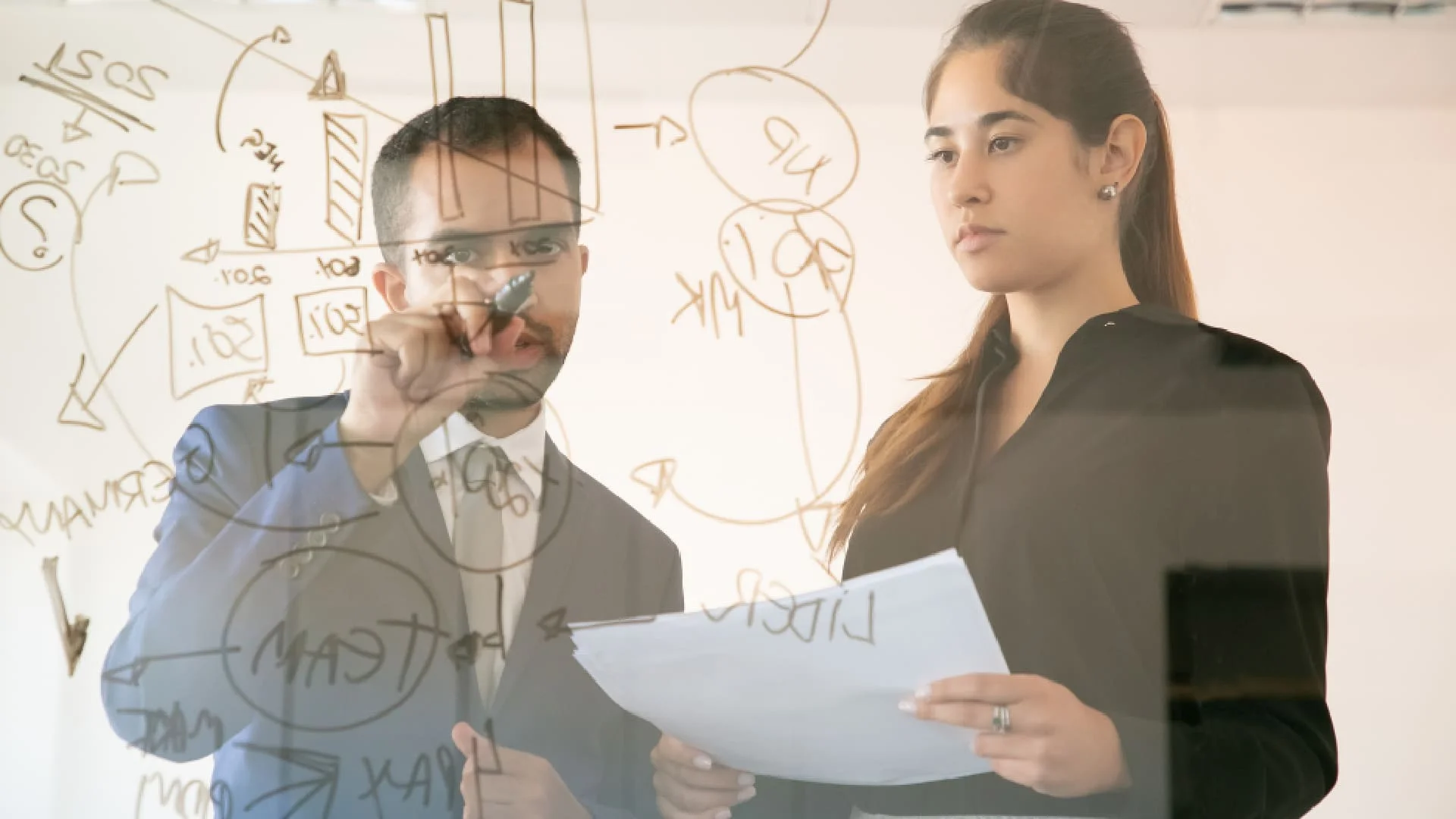 gerencia de proyectos